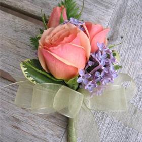 fwthumbPink Rose Cor.jpg